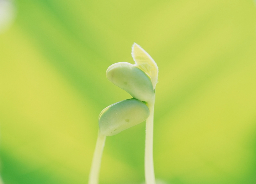 iStock_000000877421Small
